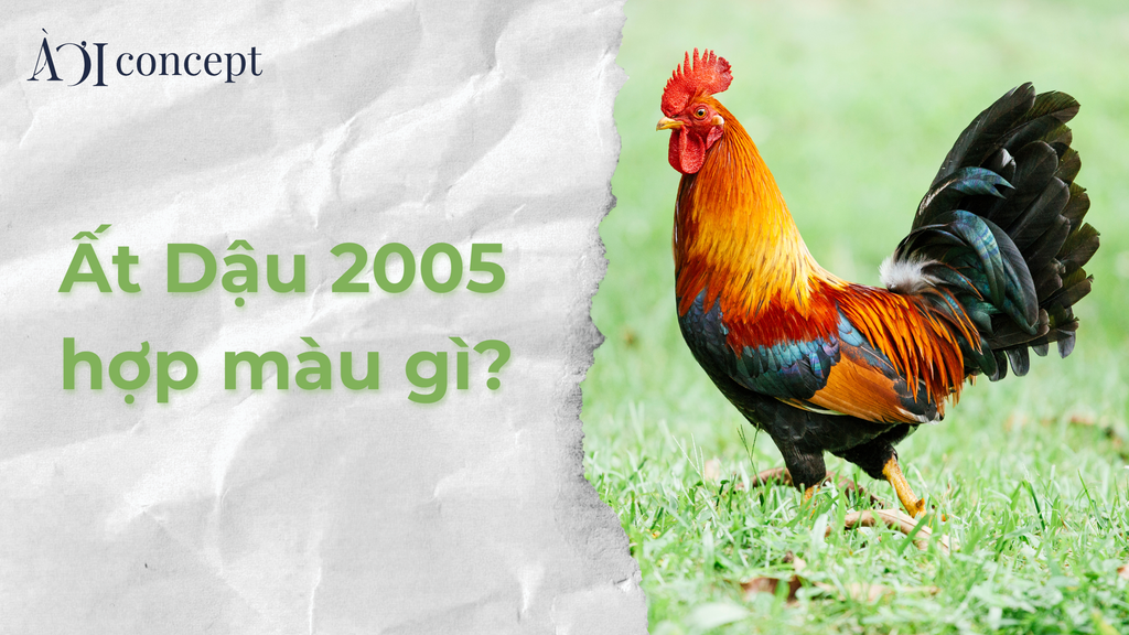 Cac mau sac xe can tranh doi voi nguoi sinh nam 2005 menh Thuy